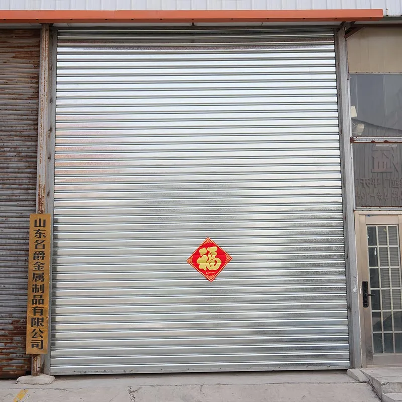 Remote Control Roller Garage Door